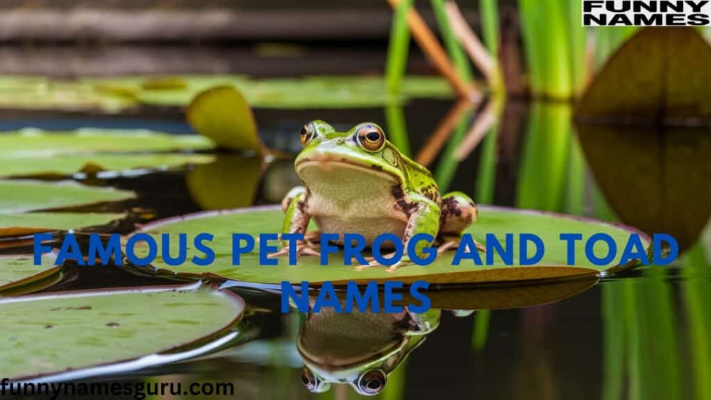 Famous Pet Frog and Toad Names