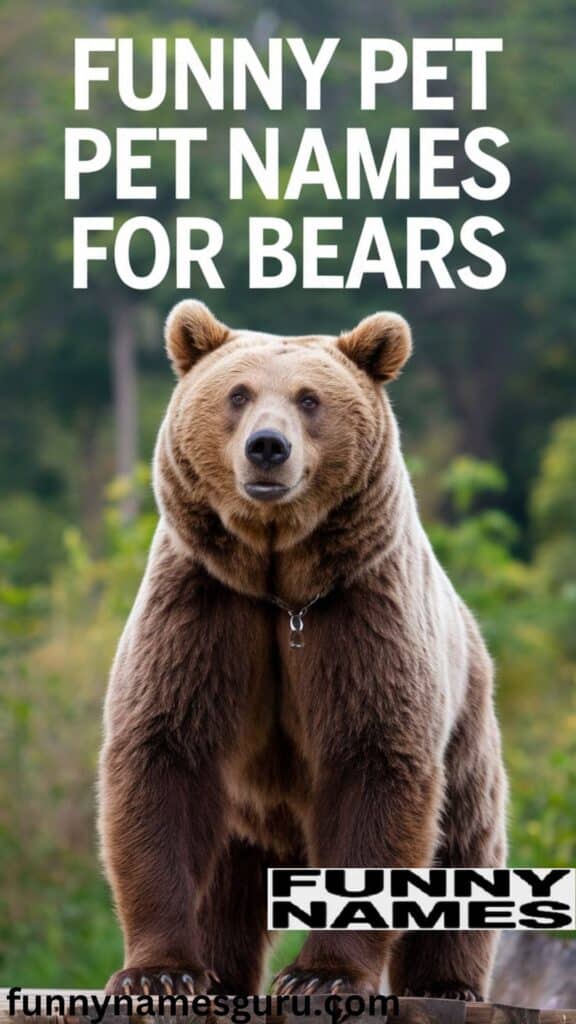 Funny Pet Names for Bears