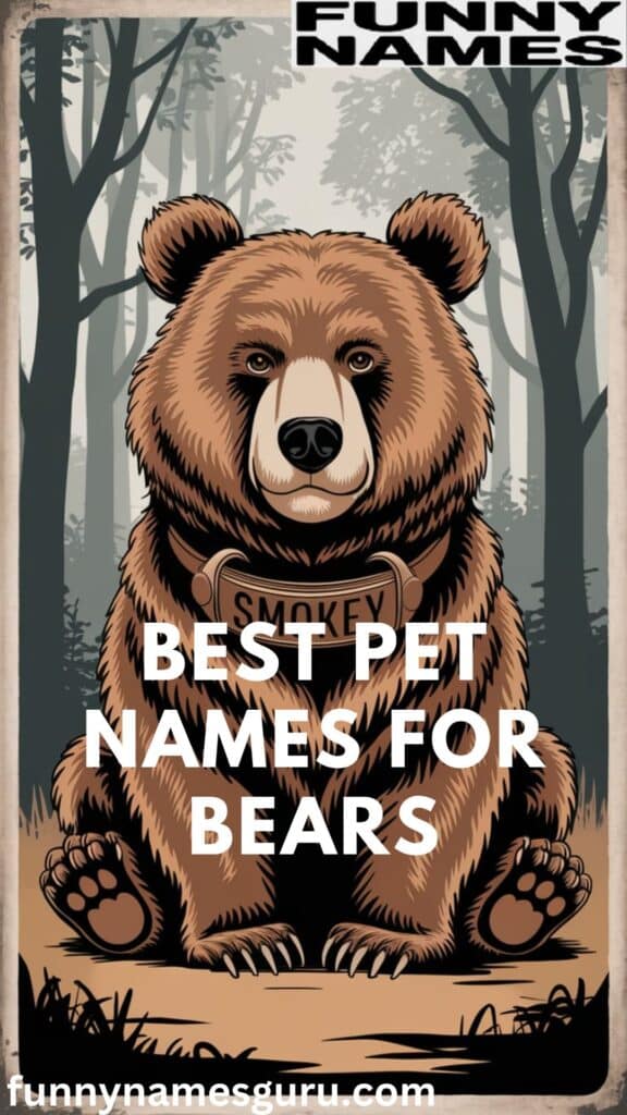 Best Pet Names for Bears