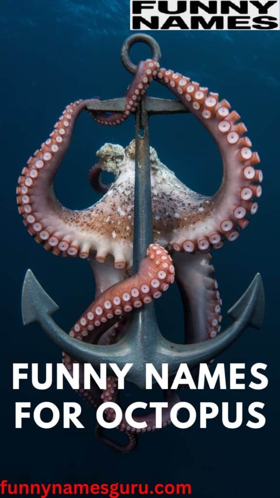 Funny Names for Octopus