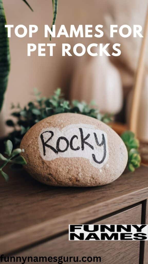 Top Names for Pet Rocks