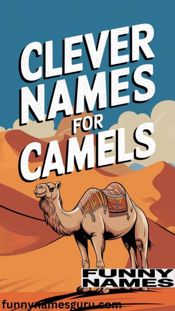 Clever Names for Camels