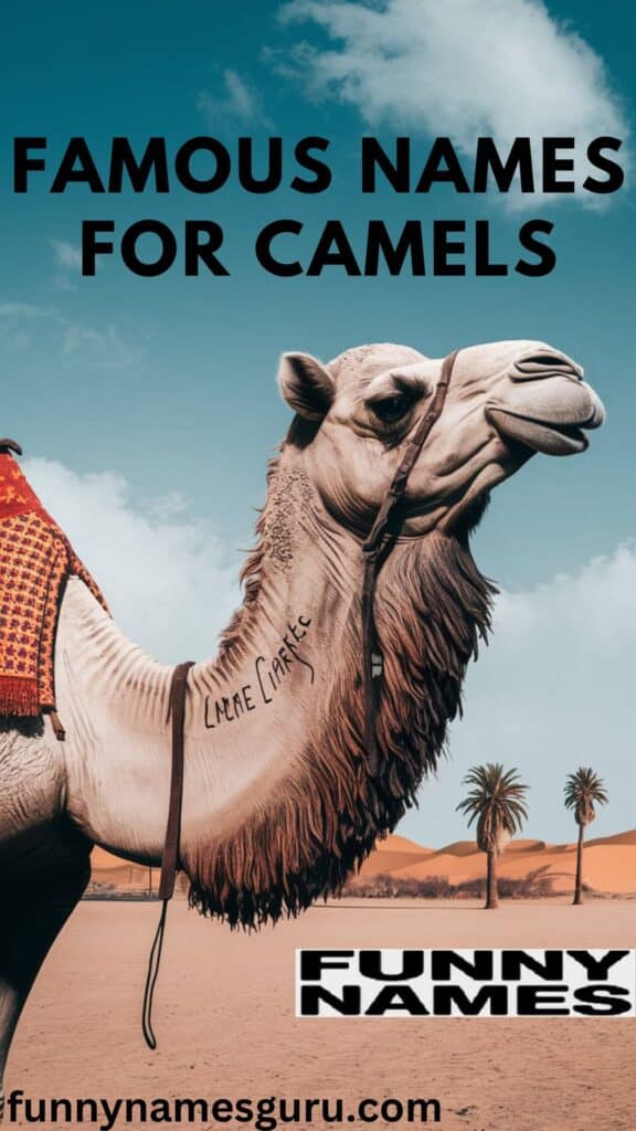 Famous Names for Camels