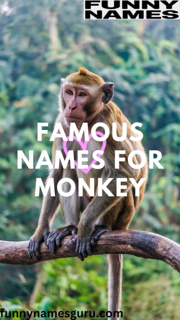 Famous Names for Monkey