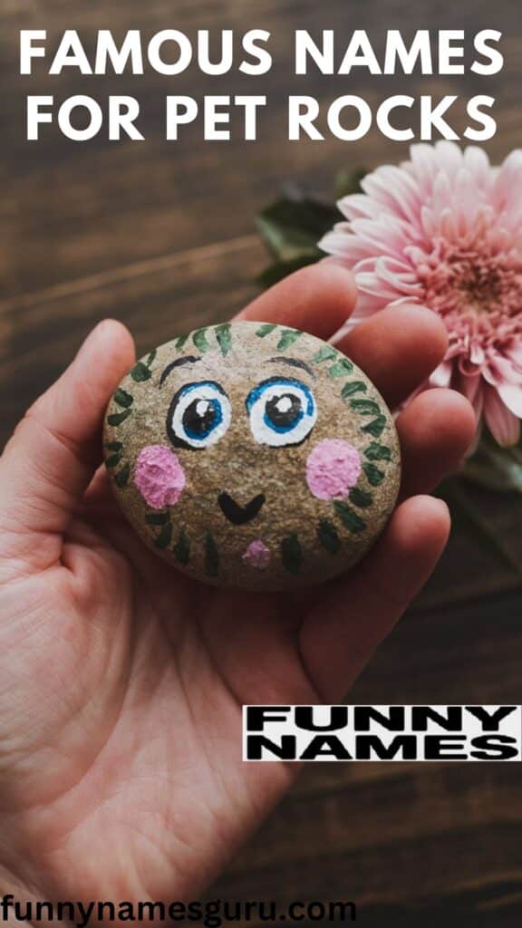 Famous Names for Pet Rocks