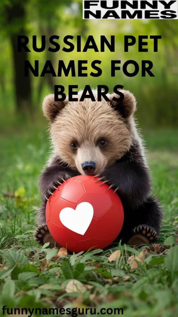 Russian Pet Names for Bears