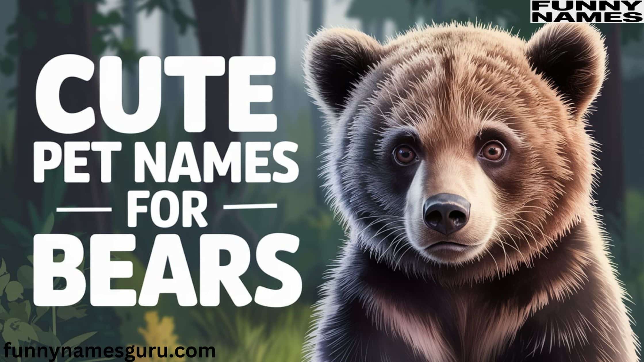 Cute Pet Names for Bears