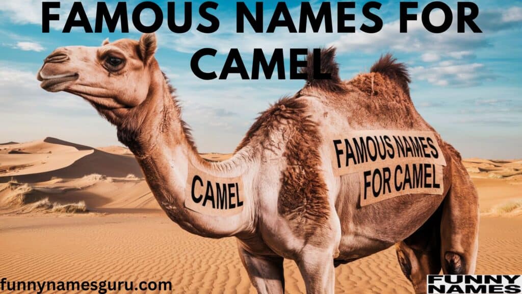 Famous Names for Camel