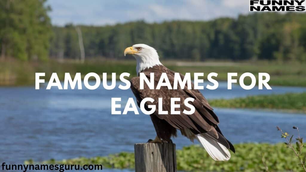 Famous Names for Eagles