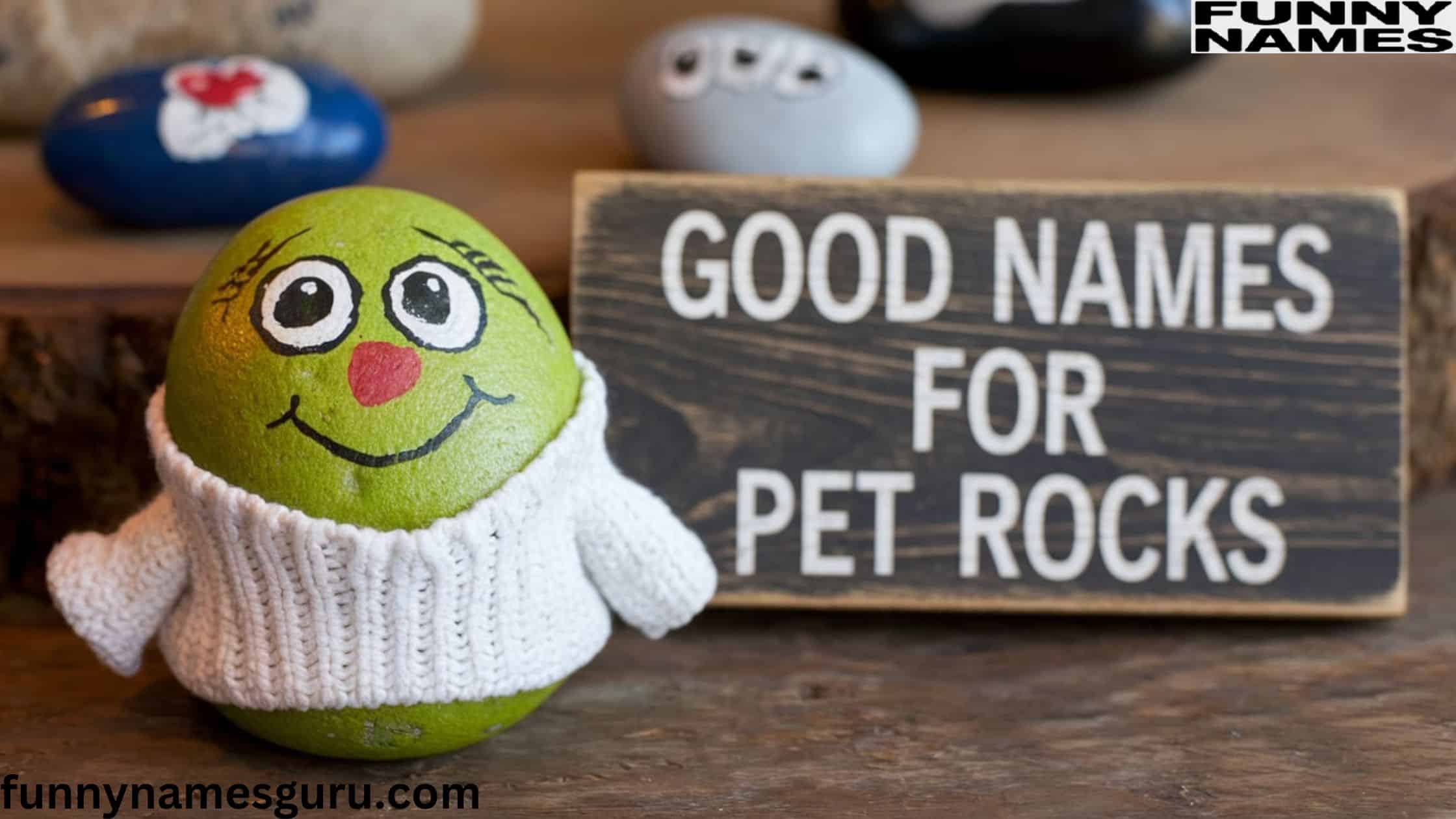 Names for Pet Rocks