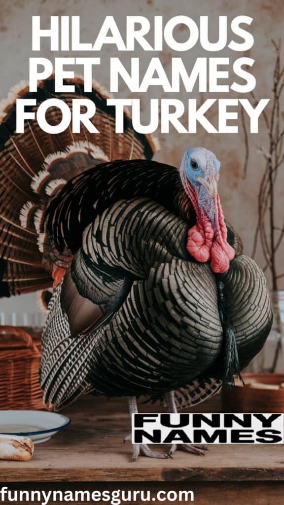 Hilarious Pet Names for Turkey