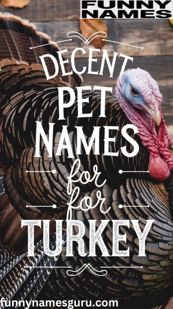 Decent Pet Names for Turkey