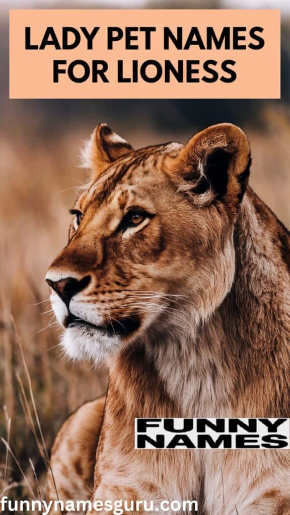 Lady Pet Names for Lioness