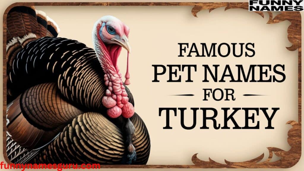 Names for Turkey