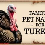 Names for Turkey