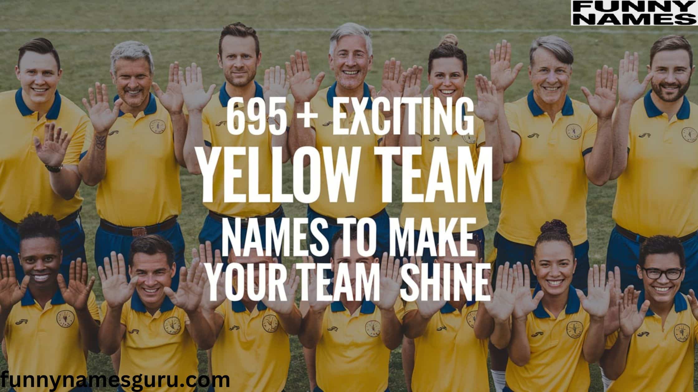 Yellow Team Names