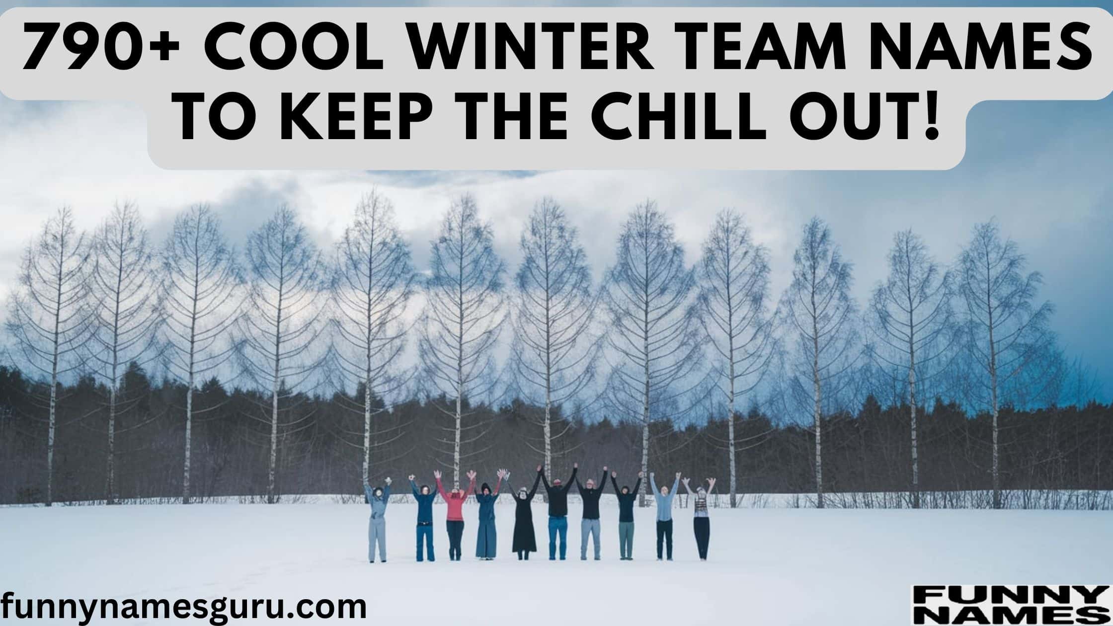 Winter Team Names